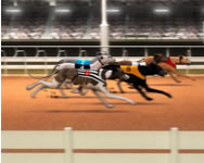 Greyhound racing jtkok ingyen